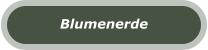 Blumenerde