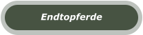 Endtopferde