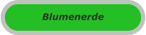 Blumenerde