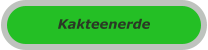 Kakteenerde